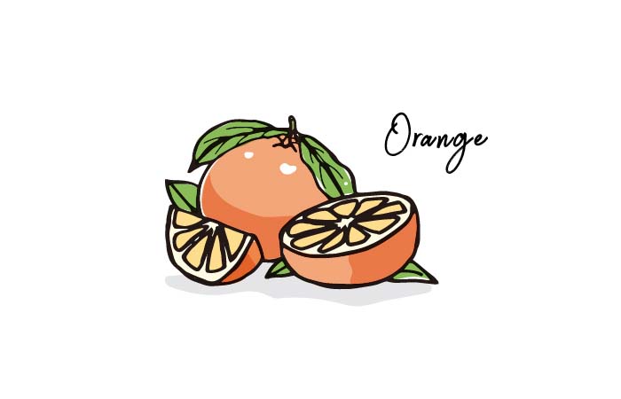 バレンシアオレンジ 