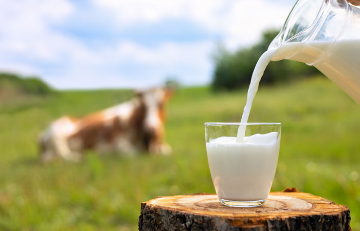 牛乳はタンパク質が豊富！ 1日コップ1杯の牛乳を飲むべき理由を解説